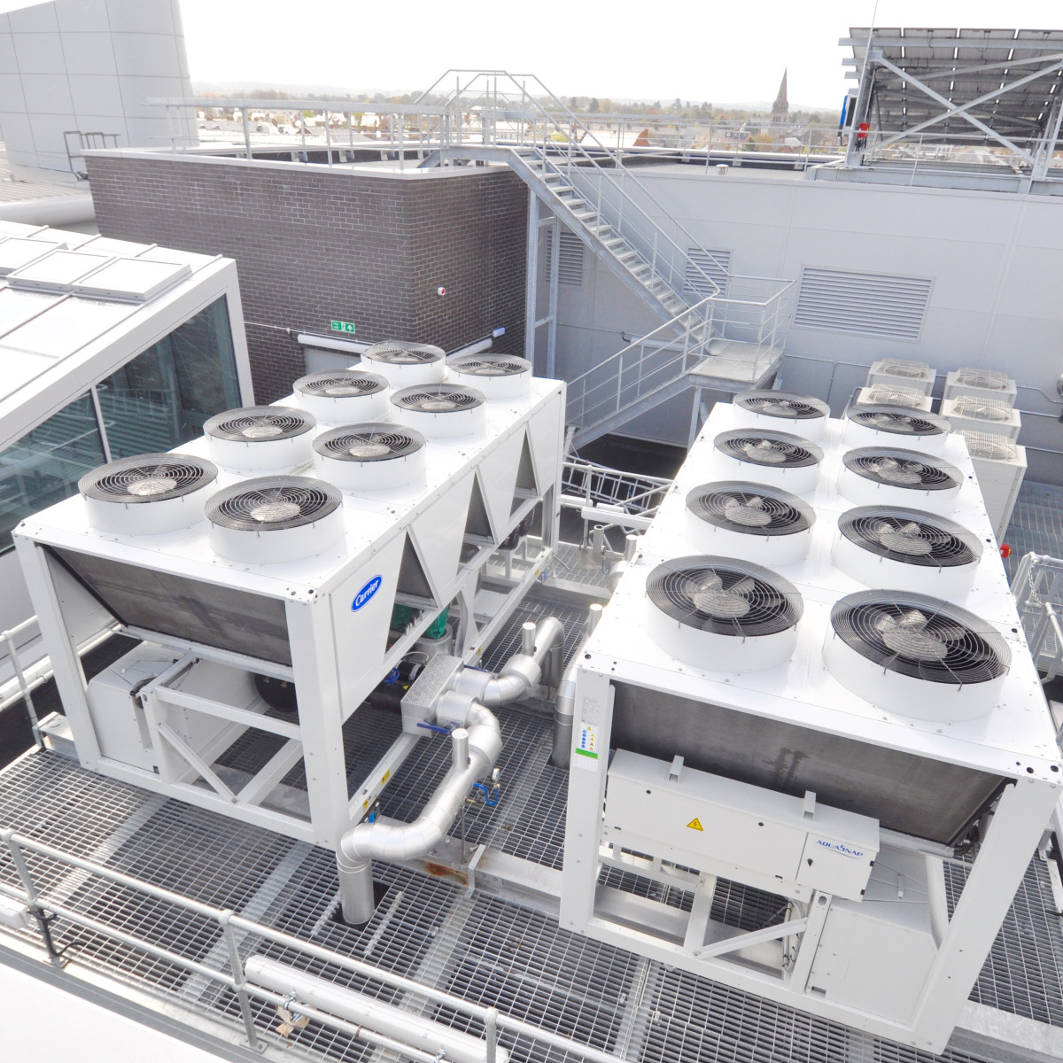 Wellcome-Wolfson Institute For Experimental Medicine