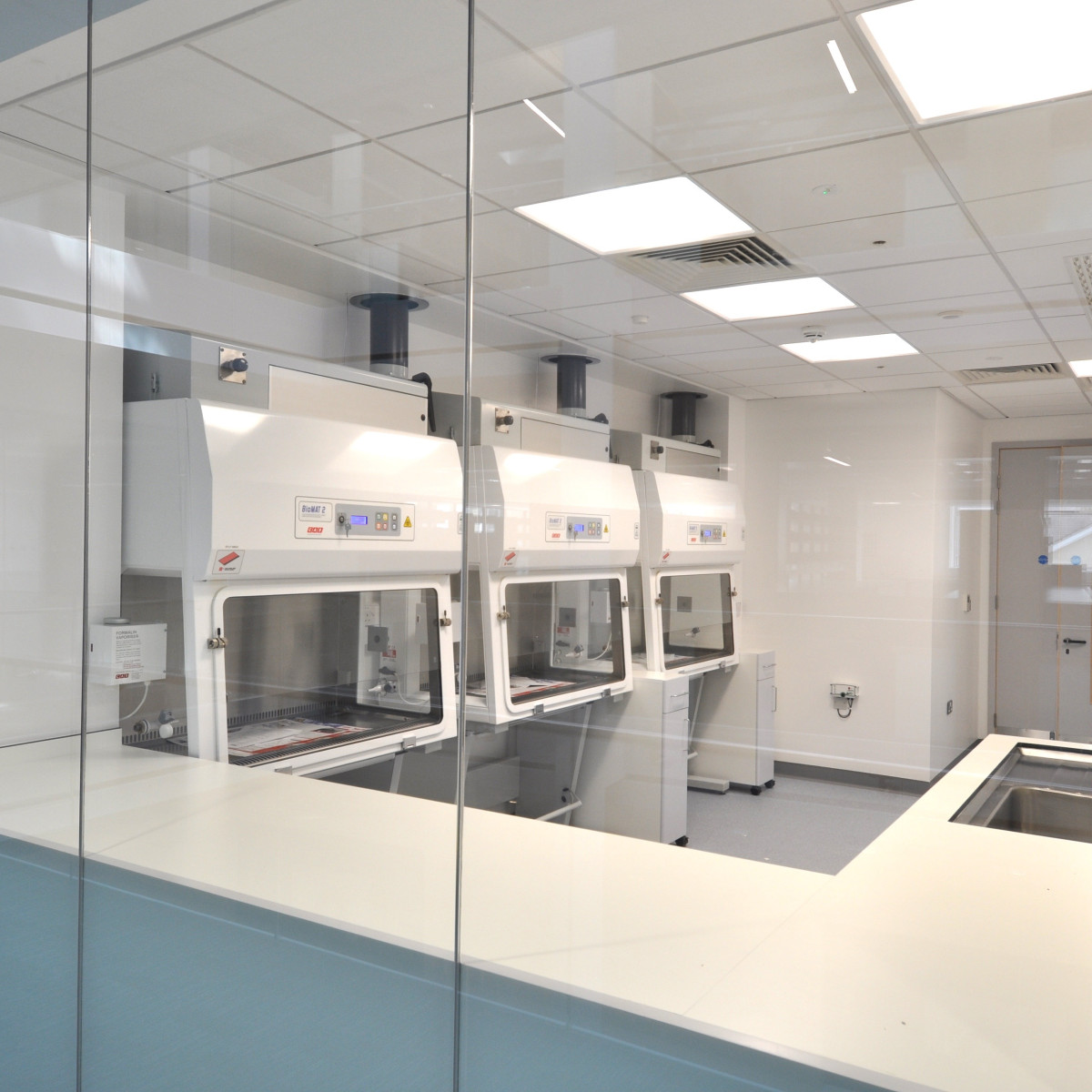 Wellcome-Wolfson Institute For Experimental Medicine